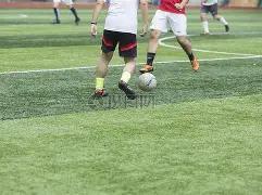 山东体育代,表团全运会,成就,开云体育,开云体育官网,开云体育app,开云体育平台,KAIYUN,SPORTS,kaiyun登录入口