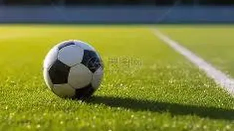 开云体育app下载 产品 114109 yra