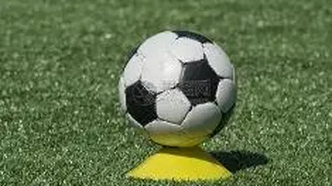 开云体育app下载 资讯 114039 jbb