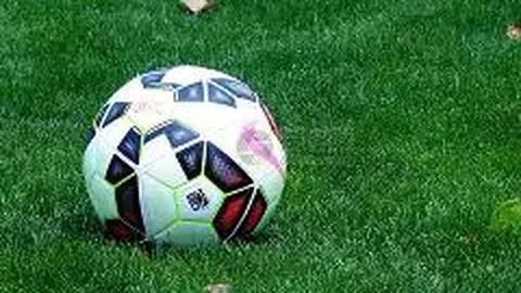 开云体育app下载 资讯 114631 yfk