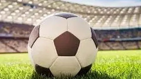 开云体育app下载 资讯 114628 drf