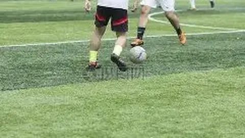 “我校成功举办2025年辽宁省大学生羽毛球锦标赛”