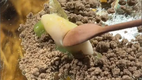 开云体育app下载 资讯 095246 k16